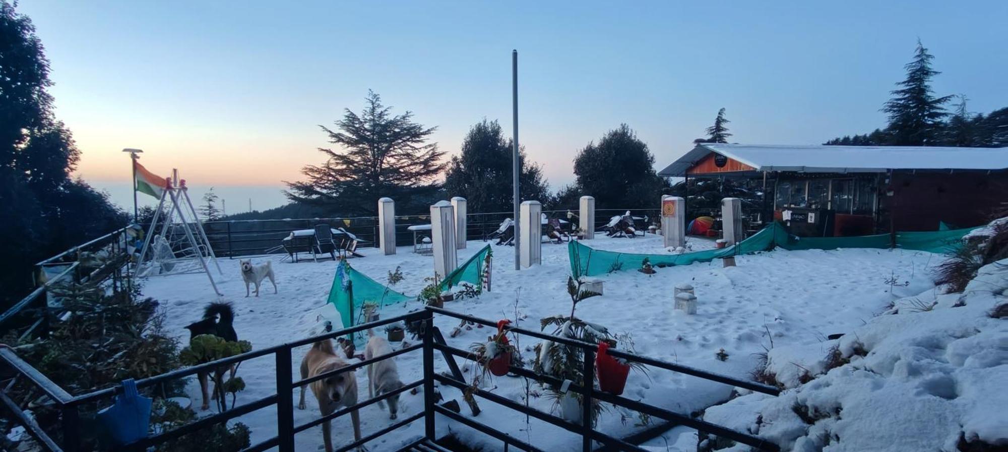 The Unmad - Dharamkot Panzió Dharamszala Kültér fotó