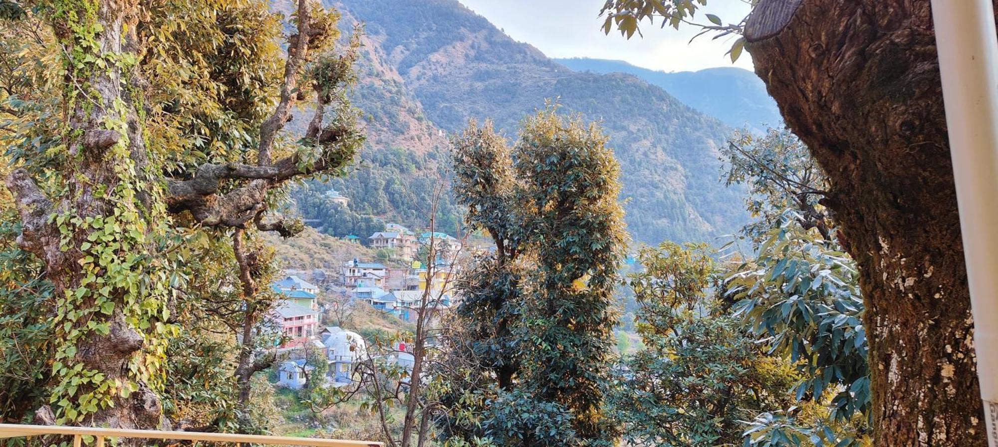 The Unmad - Dharamkot Panzió Dharamszala Kültér fotó
