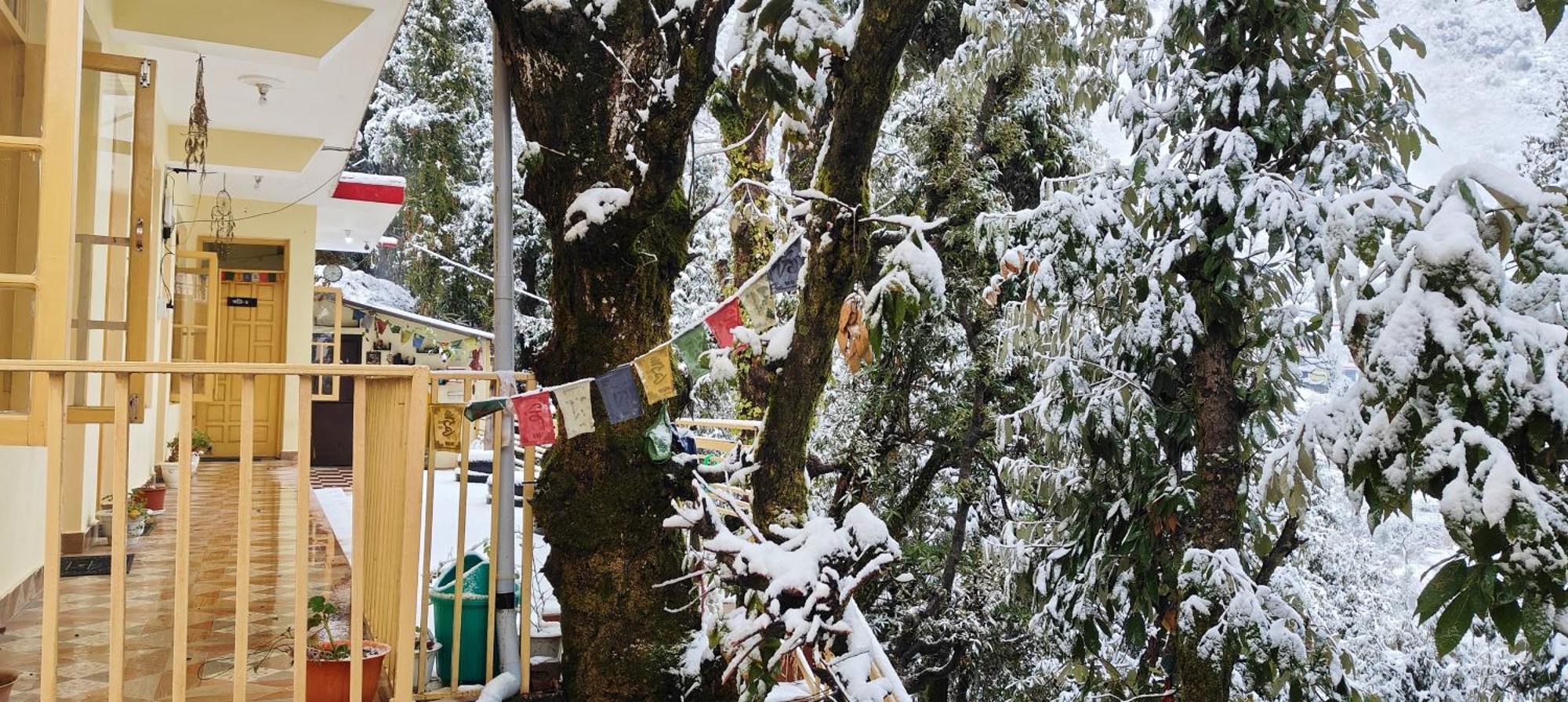 The Unmad - Dharamkot Panzió Dharamszala Kültér fotó