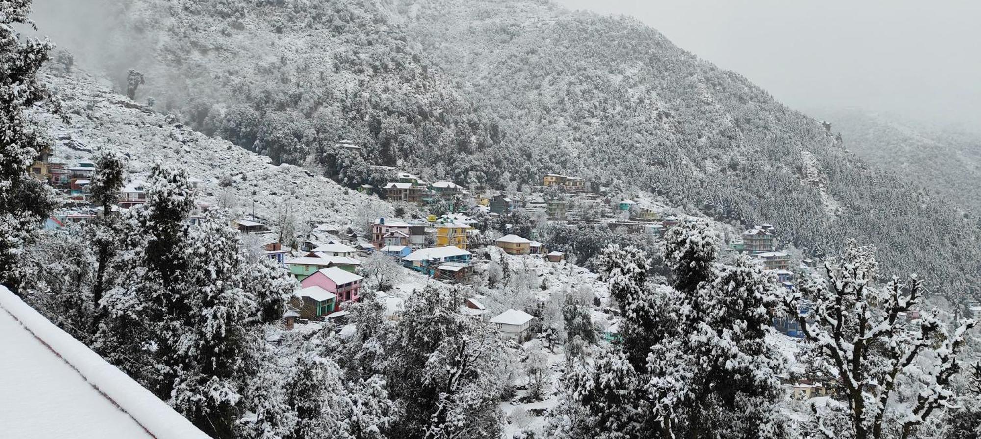 The Unmad - Dharamkot Panzió Dharamszala Kültér fotó